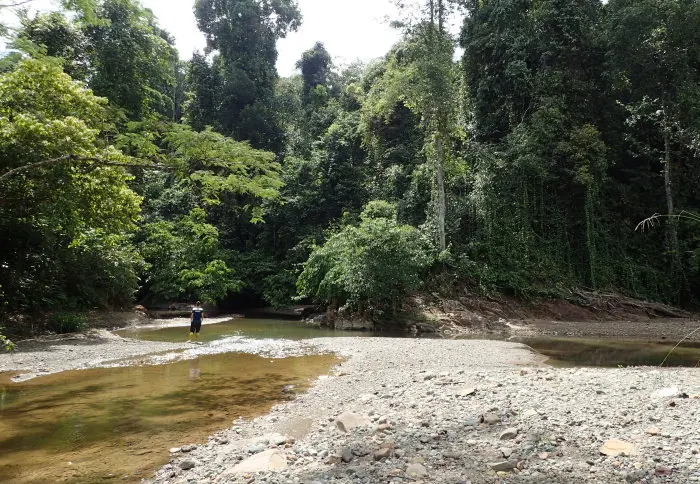 Rio Brantian devastado pela exploração de madeira em Sabah, na Malásia. 