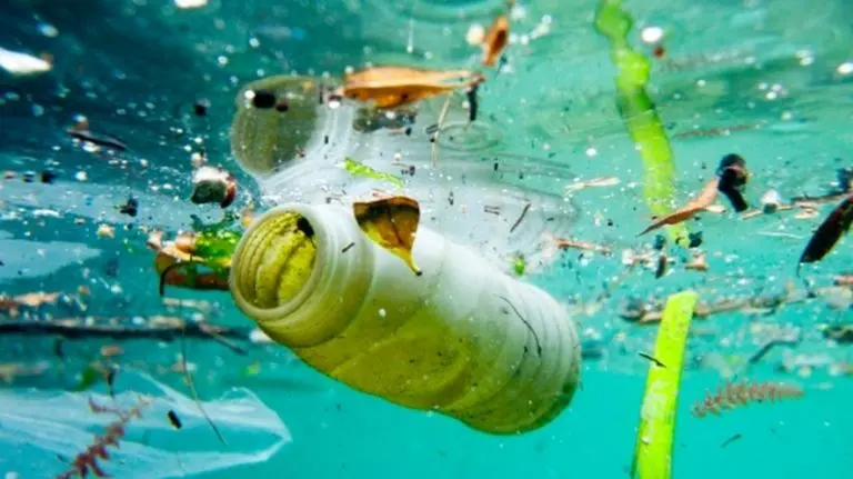 Poluição plástica que assola os oceanos agora é pauta em Aliança Internacional, e pode ter auxílio até de entidades esportivas (Foto: Science Mag)