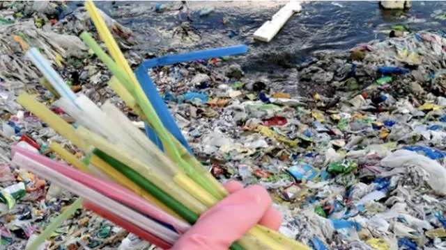 Canudos são plásticos de uso único que contribuem extensamente para a poluição plástica no oceano (Foto: Divulgação)