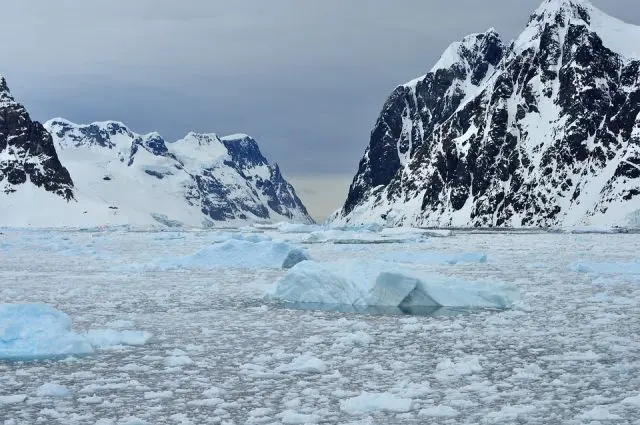 Plástico foi encontrado na Antártica