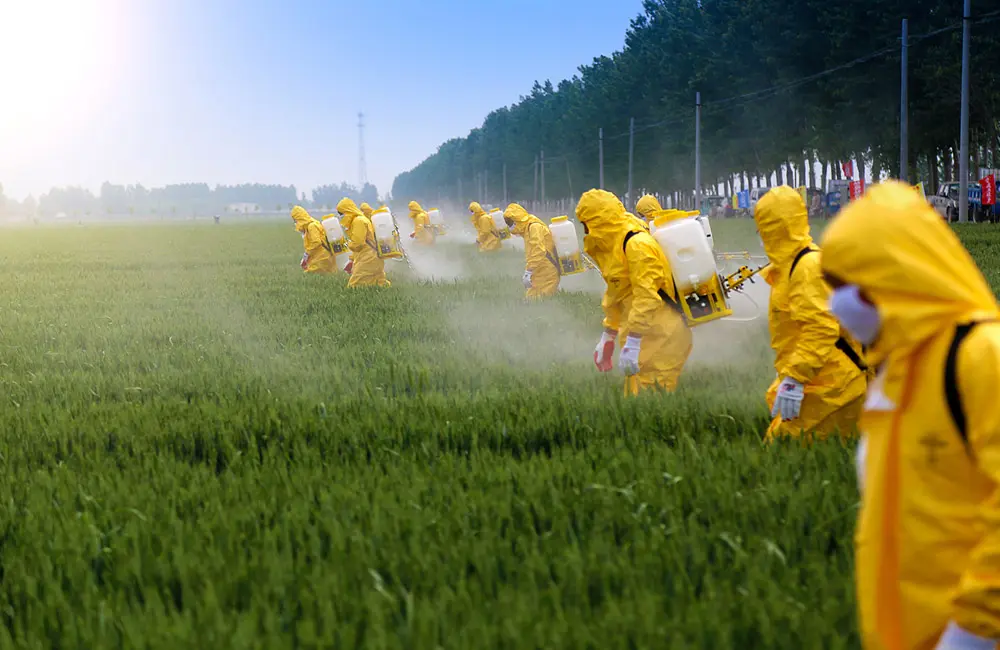 Empregados das fazendas espalham pesticidas sobre as plantações | Foto: Divulgação