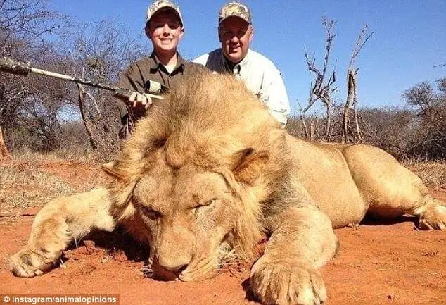 Pai e filho posam ao lado do cadáver de um leão após caçada na Africa | Foto: Instagram