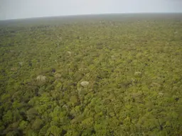 Imagem panorâmica da Amazônia